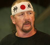 TerryFunk2013Cropped.png