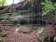 Felsen