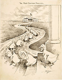 The lame ducks depicted in this Clifford K. Berryman cartoon are defeated Democrats heading to the White House hoping to secure political appointments from then President Woodrow Wilson. The Post-Season Parade.JPG