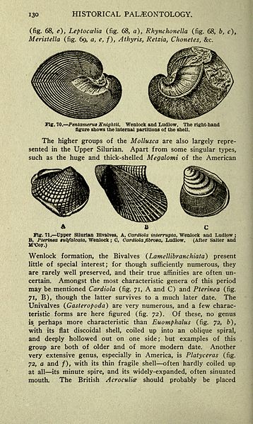 File:The ancient life-history of the earth (Page 130) BHL18084044.jpg