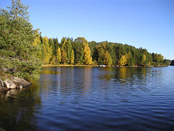 Kjendalsøya i nedre Toke, oktober 2004