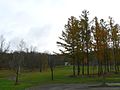 Tomihara Forest Park, Asahikawa, Hokkaido, Japan - panoramio.jpg