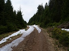 Track at Großer Winterberg 16.jpg 78889770 6 599 20190601074156