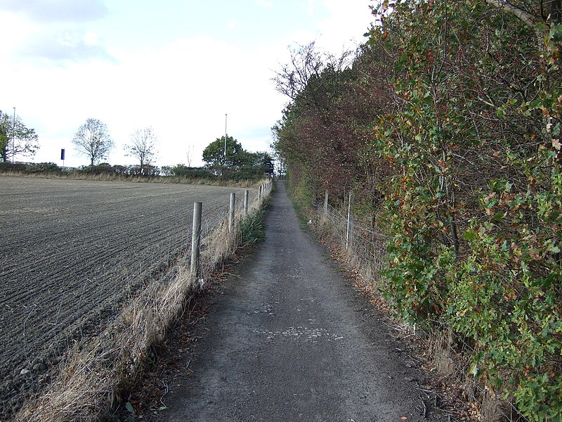 File:Trans Pennine Trail - geograph.org.uk - 2637770.jpg