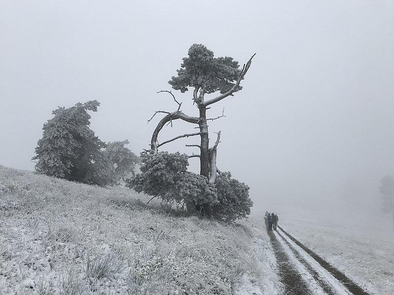 File:Traumpfad Bergheidenweg Winter IMG 0625.jpg