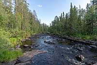 Lägstaån vid Trolltjärns södra gräns.