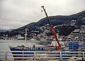 Tsushima (Nagasaki)