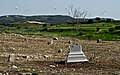 * Nomination Abandoned Turkish cemetery in Kouklia, Cyprus. --Nikodem Nijaki 12:35, 26 March 2014 (UTC) * Promotion OK I suppose. --Mattbuck 21:38, 1 April 2014 (UTC)