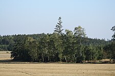 Typická krajina s remízky severně od Třebíče