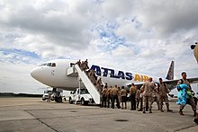 Un Boeing 767-300ER in fase di disimbarco dopo un volo charter.