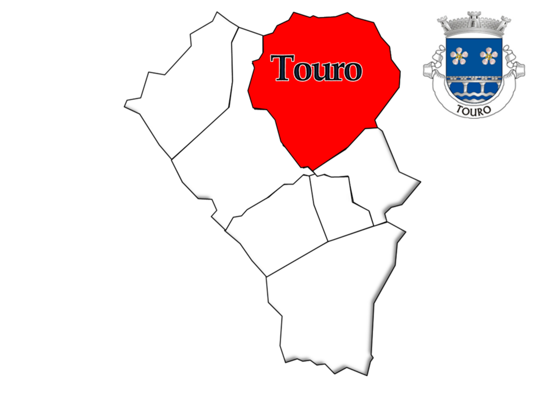 Touro (Vila Nova de Paiva)