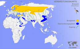 A darvak fészkelő (sárga) és telelő területe (kék)