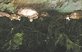 View inside Carlsbad Cavern-81.JPG