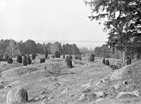 Viking Age grave field at Birka archaeological site on Björkö island, Uppland, Sweden (9083581716).jpg