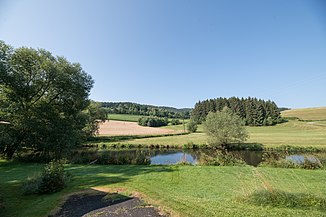 Mündung des Zaglauer Bachs in die Große Mühl; im Hintergrund der Verlauf des Baches