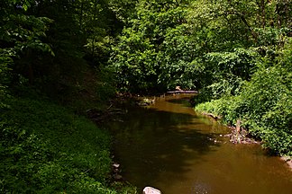 Wałsza River