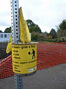 Walk Safety Flags Fortuna CA.jpg