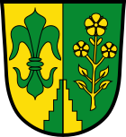 Coat of arms of the municipality of Binswangen