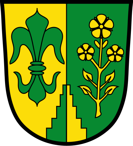 Wappen Binswangen