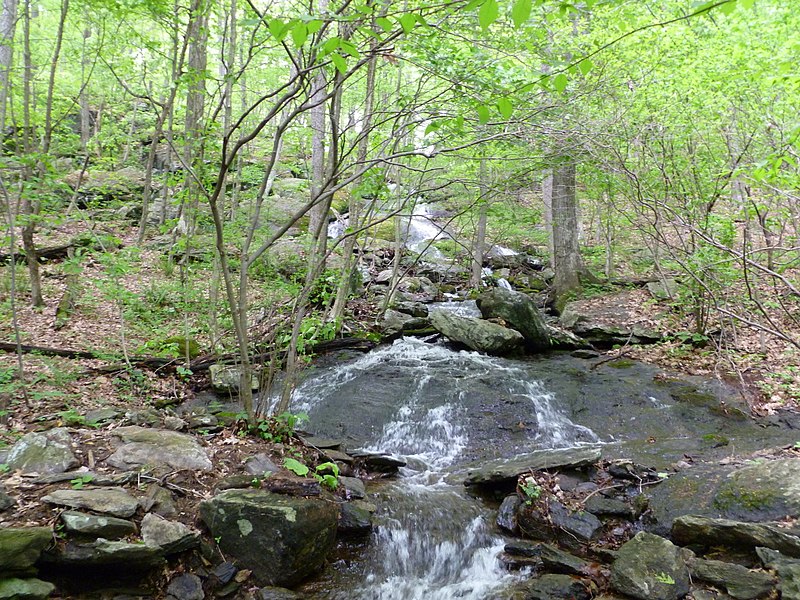 File:Waterfall - panoramio (10).jpg