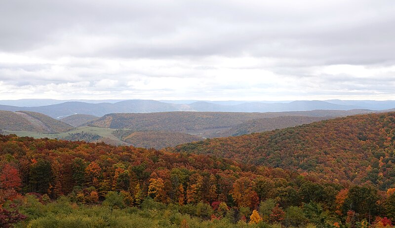 File:West Virginia Fall 2022 Near Mt Storm Lake.jpg