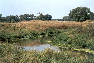 Widawa,  Łódź Voivodeship, Poland