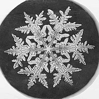 Snowflake micrograph by Wilson Bentley, 1890.