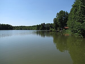 Wolziger See view from Funkenmühle1.jpg