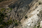 Миниатюра для Файл:Геологическое обнажение на берегу Томи.png