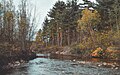 * Nomination Limnytsia river reserve By User:TumkivA --Luda.slominska 12:11, 2 July 2023 (UTC) * Decline Too grainy, esp. for ISO 400. --CherryX 18:32, 3 July 2023 (UTC)