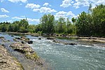 Vignette pour Gomjenica (rivière)