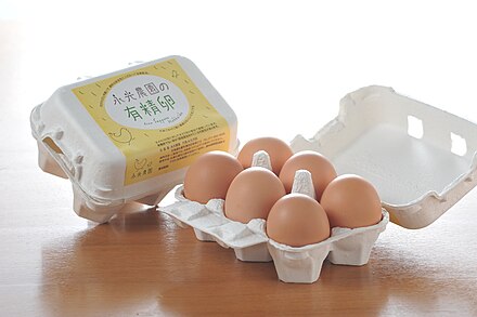 molded pulp Egg cartons, Japan