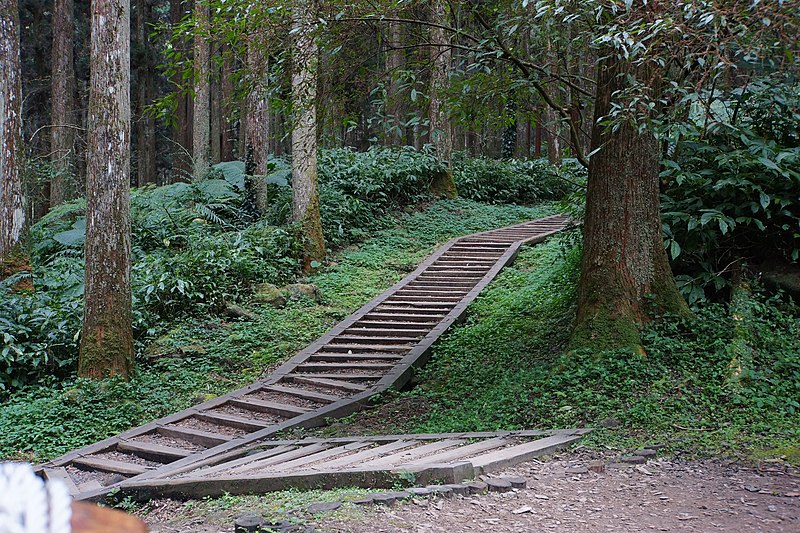 File:林間遊戲場步道 Forest Playground Footpath - panoramio.jpg