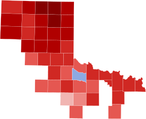 2006 TX-13 election results.svg