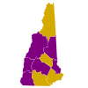 2008NewHamshirePrimaries.svg 