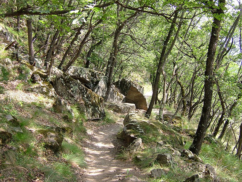 File:2008 0707 80620 Hiking in South Tyrol Naturns R0626.jpg