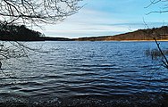 Deutsch: Tornowsee, nahe Campingplatz