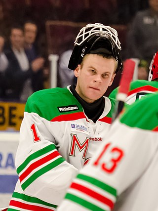 <span class="mw-page-title-main">Ervīns Muštukovs</span> Latvian ice hockey player