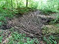 Shaft sunk and blocked by branches.