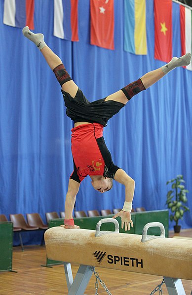 File:2019-05-24 Budapest Cup training pommel horse (Martin Rulsch) 057.jpg