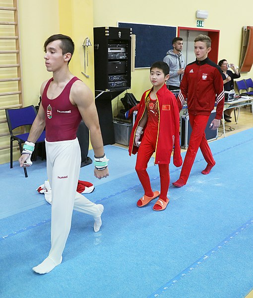 File:2019-11-30 OHC Liberec 2019 MAG Apparatus finals Horizontal bar (Martin Rulsch) 006.jpg