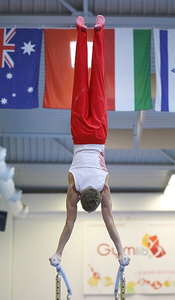 File:2019-11-30 OHC Liberec 2019 MAG Apparatus finals Parallel bars (Martin Rulsch) 087.jpg