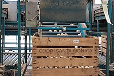 2022-07-27 - Visita a la cooperativa Santa Mónica e inauguración de obras de abastecimiento de agua - 52245435929.jpg