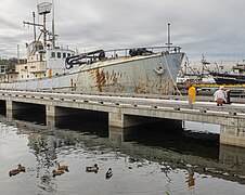 Albert (ship, 1957)