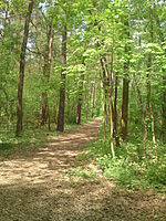 Volkspark Cottbus