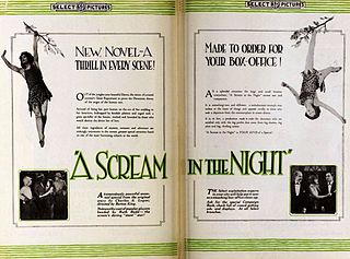 <i>A Scream in the Night</i> (1919 film) 1919 American film