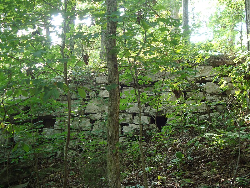 File:A view through the trees of a historic rock wall at Tuscumbia Landing near Sheffield, Alabama (6391caa9-91a7-4d9c-a02f-c91d5e78e4cc).JPG