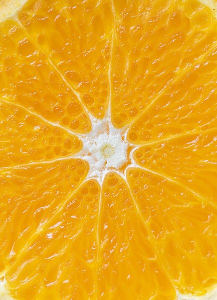 File:A zoomed up picture of an orange.jpg