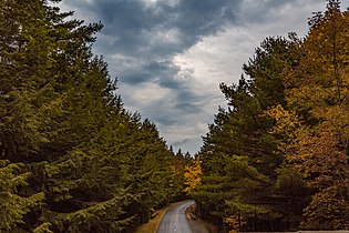 Above the loop road