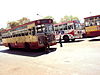 Older buses of AMTS